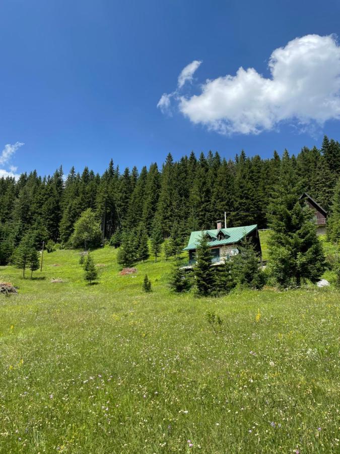 Magic Mountain Villa Zabljak  Exterior photo
