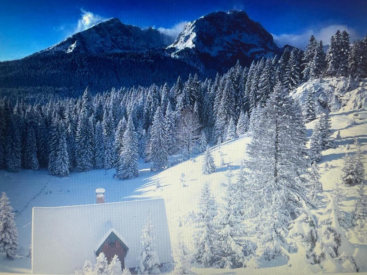 Magic Mountain Villa Zabljak  Exterior photo