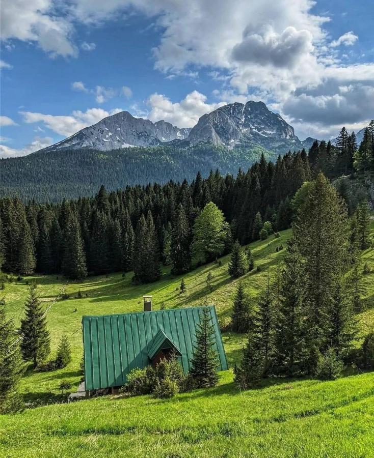 Magic Mountain Villa Zabljak  Exterior photo